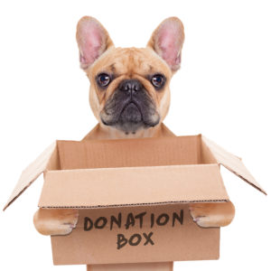 Dog with Donation Box
